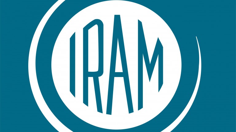 Norma IRAM-ISO 9001:2015